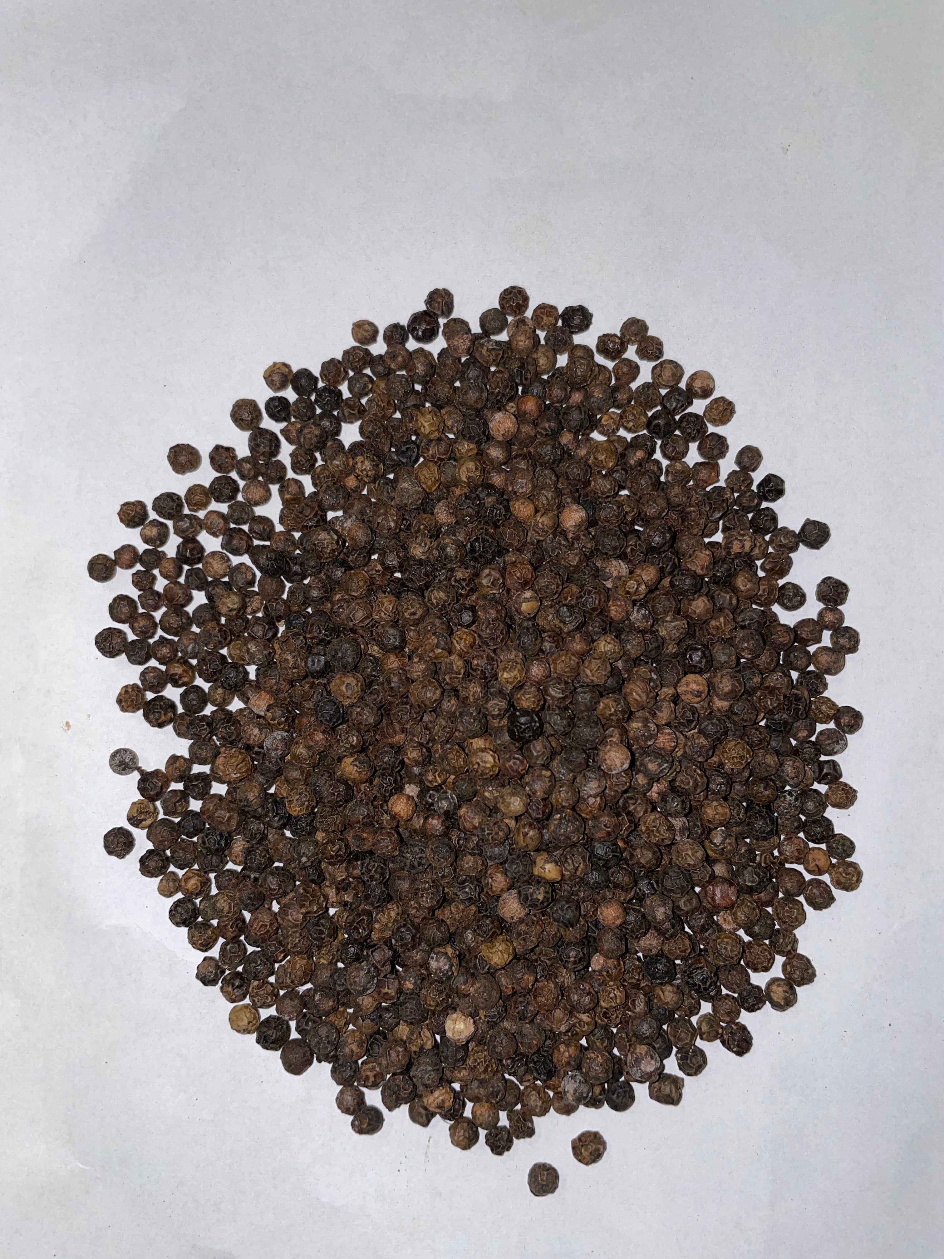 Zwarte peperkorrel