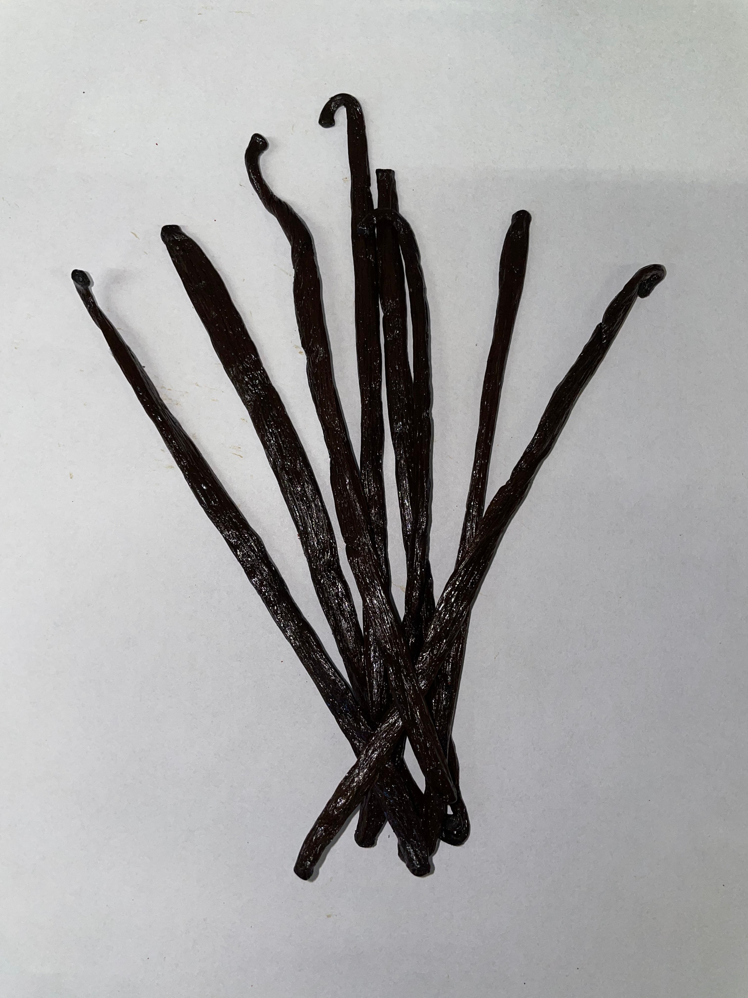 Vanille stokjes premium bio