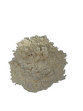 Knoflook poeder