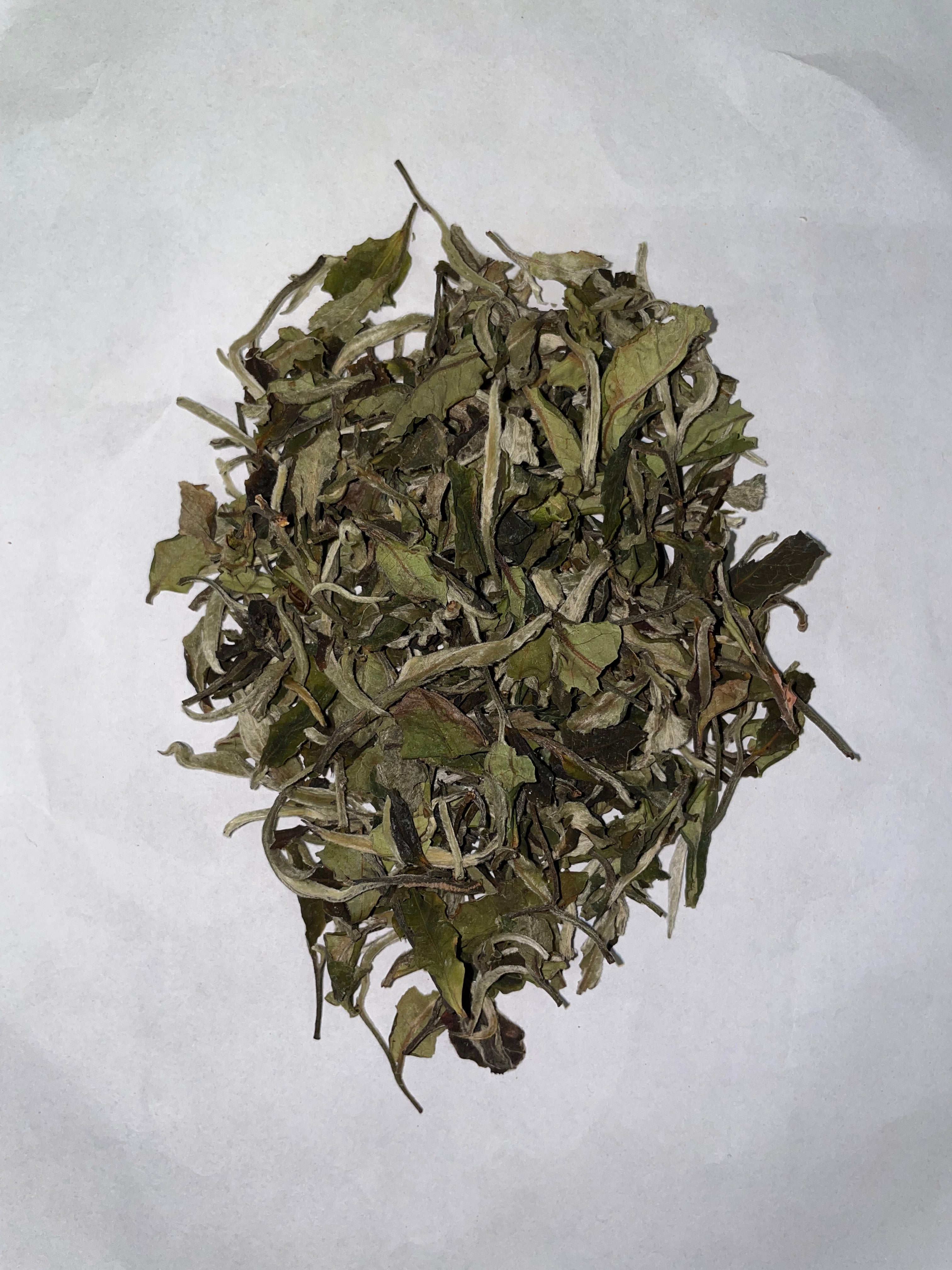 Witte thee , Pai Mutan