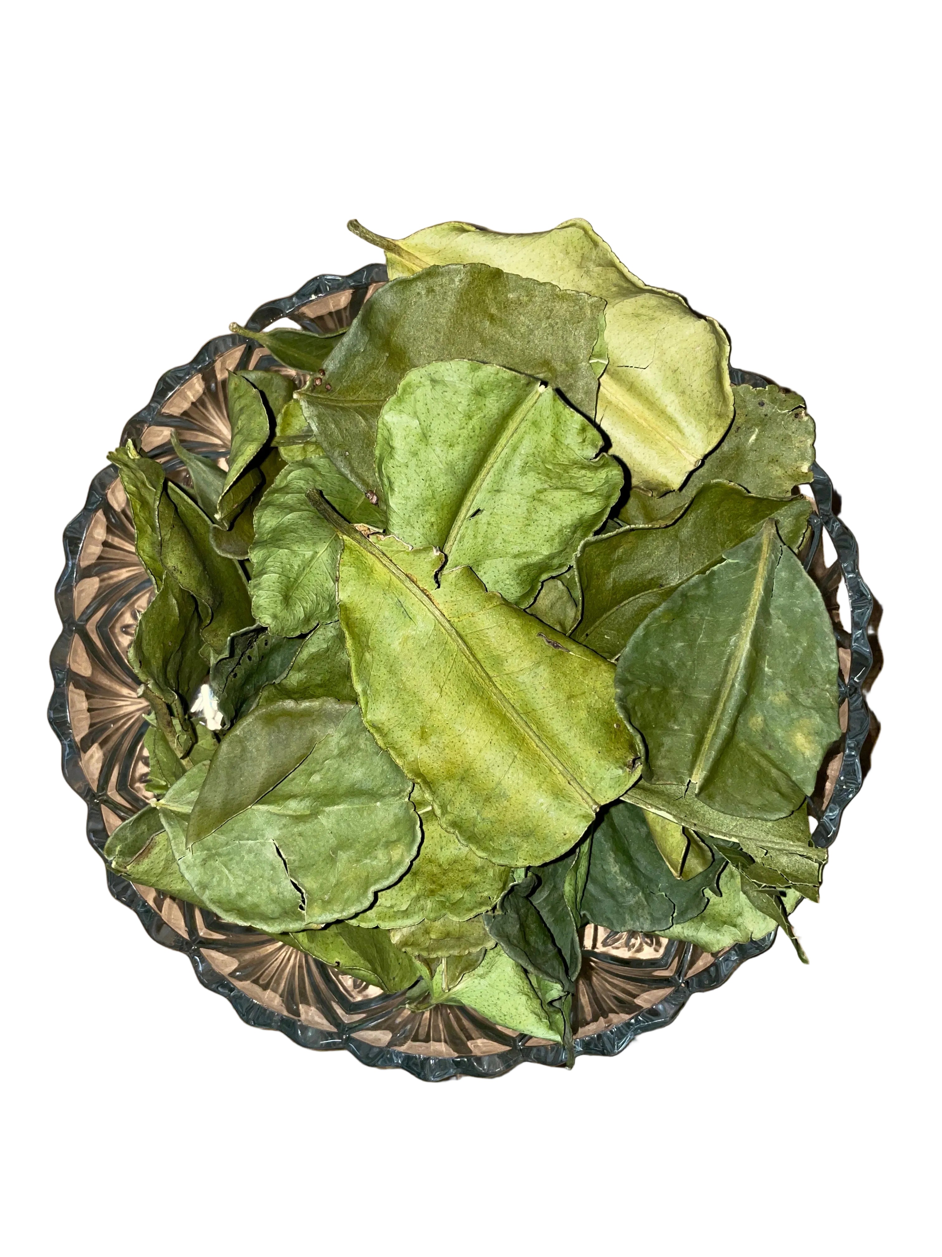 Citroen blad (Daun jeruk purut)