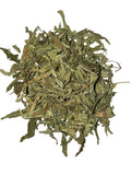 Verveine – Citroenverbena - Biologisch