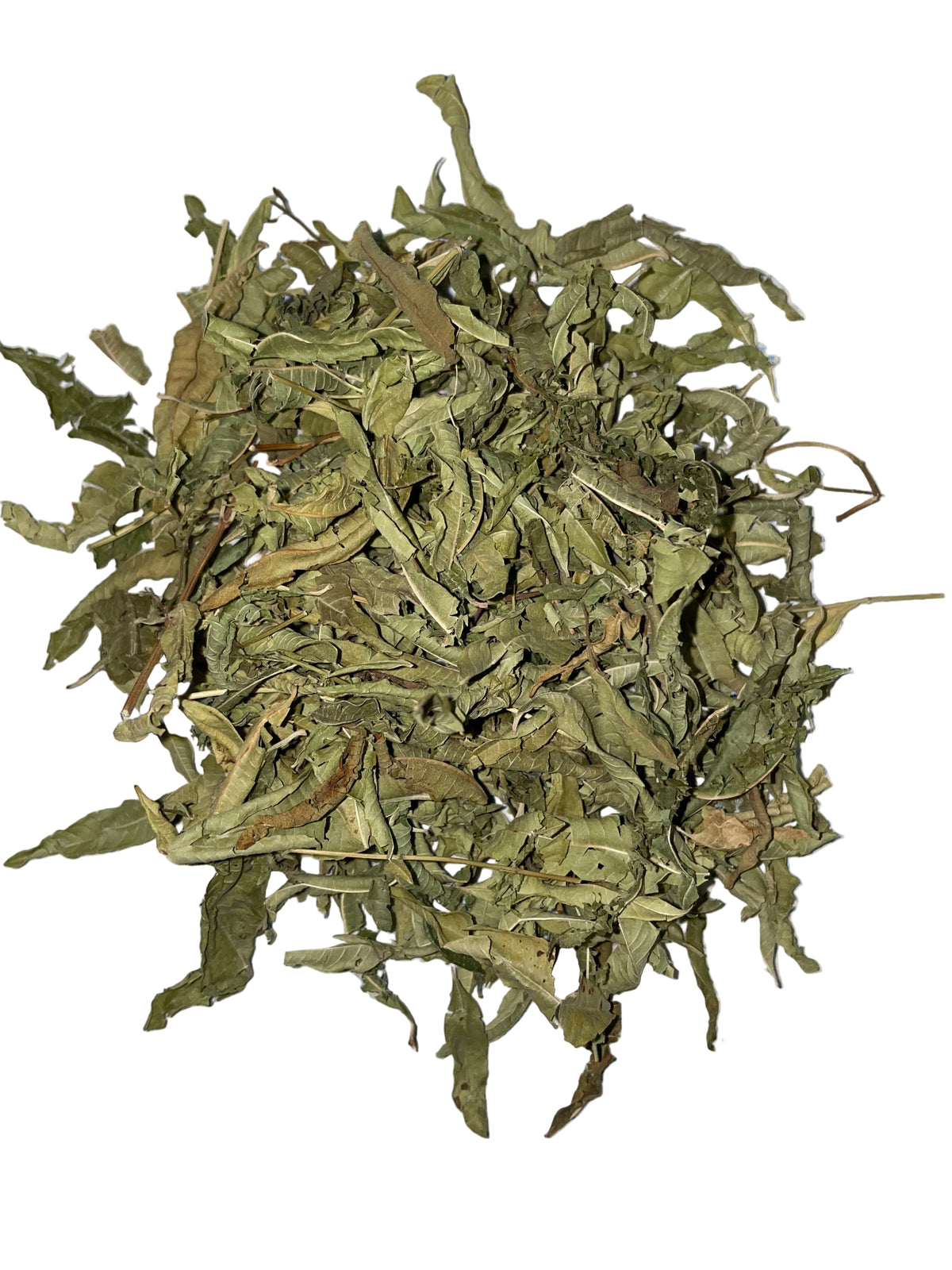 Verveine – Citroenverbena - Biologisch